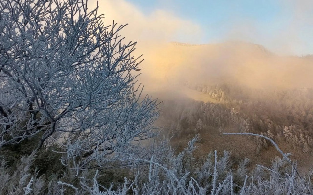雅如小築電梯民宿