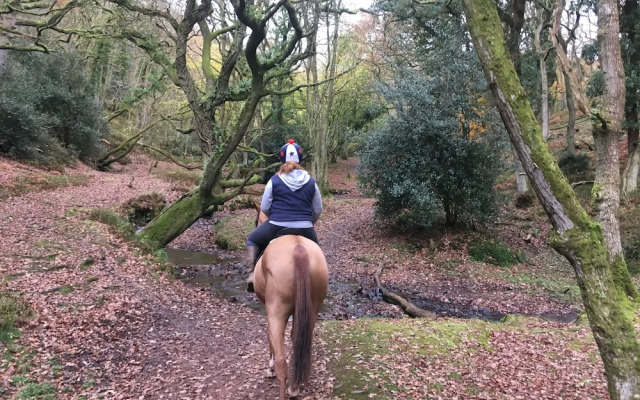 Pardlestone Farm: B&B