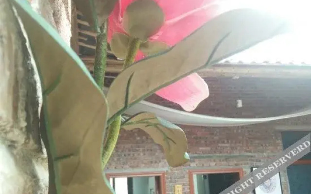 Qichi Zhuxiang Hostel