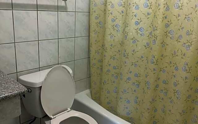 plaza inn motel