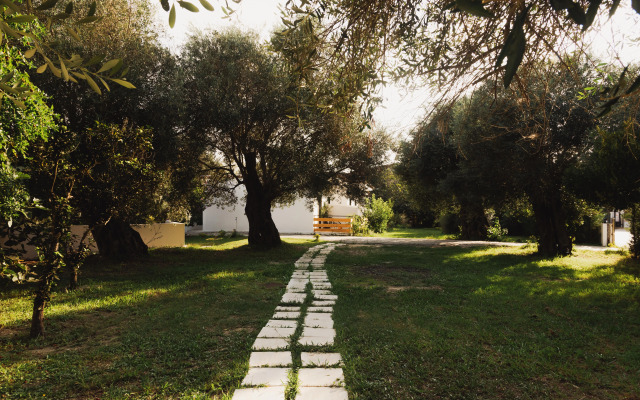 Olive Grove Suites Boutique Hotel