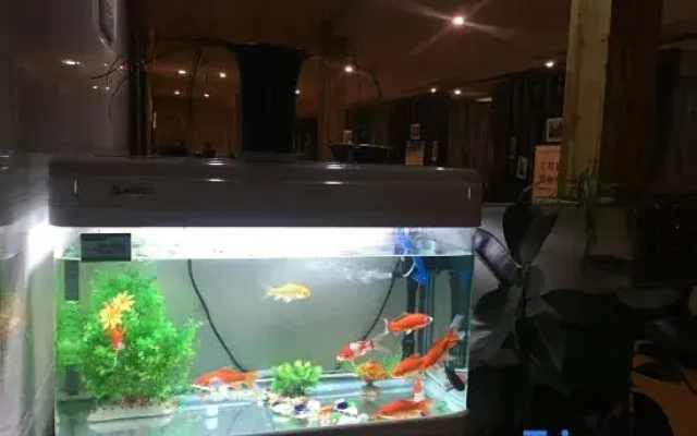 Xinyang Blue Moon Hotel