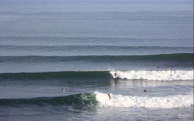 Puro Surf Hotel and Academy