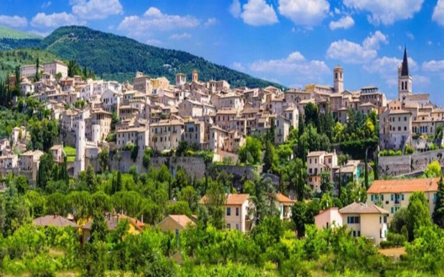 Coral Apt City Center