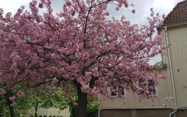 Huskvarna Hotell & Vandrarhem