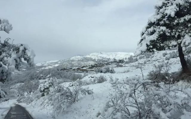 Mas Farner - Adults Only