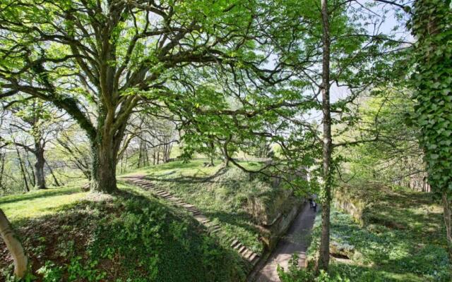Maison Privilège Nature à La Petite Pierre
