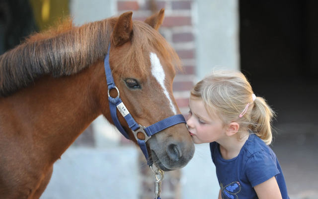 Ponyhof Georgenbruch