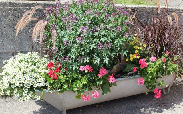 Picturesque Apartment in Baiersbronn With Bar