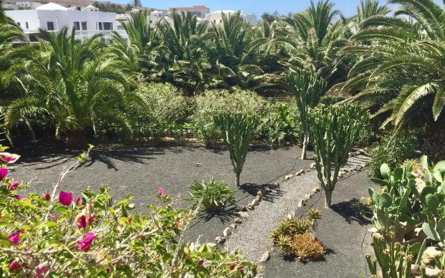 Casa Panama,in der Finca Mimosa