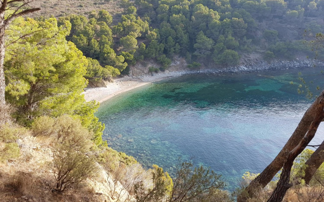 Appartement Roses Canyelles
