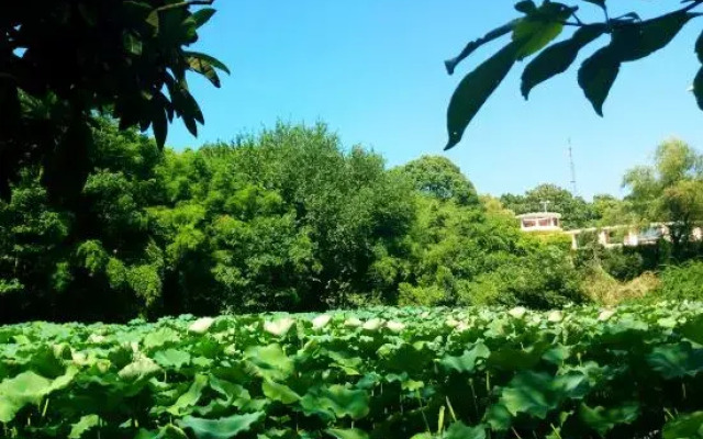 Baiyunshan State Guest House
