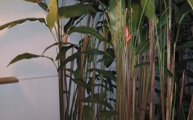Villa Kalachuchi B&B