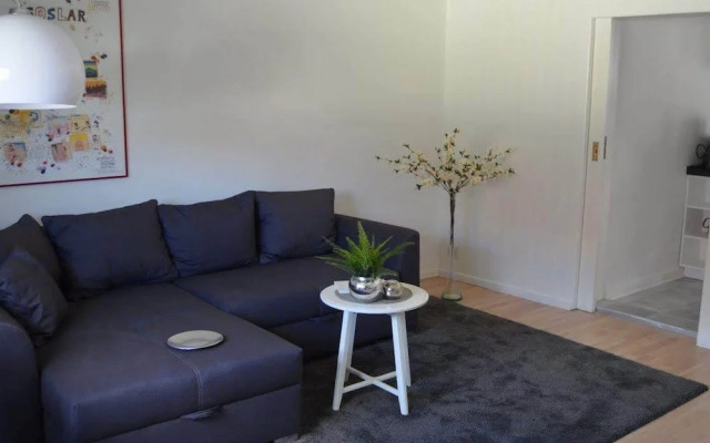 Cosy Apartment in Langelsheim With Private Garden