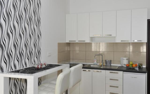 Apartment Jovana Nikšić