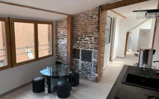 BELLEVUE Appartement sous les toits hypercentre climatisé