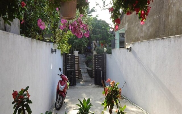 Banana Homestay  Hostel