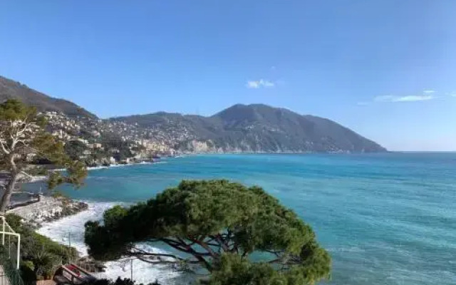 Villa Giulia