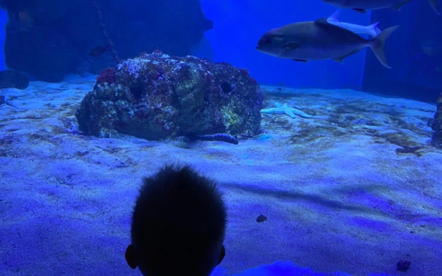 Exceptional apartment with 2 bedrooms near the sea