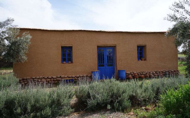 Marrakesh Organics