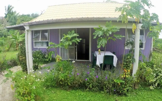 The Friendly Islander (Papiloa's)