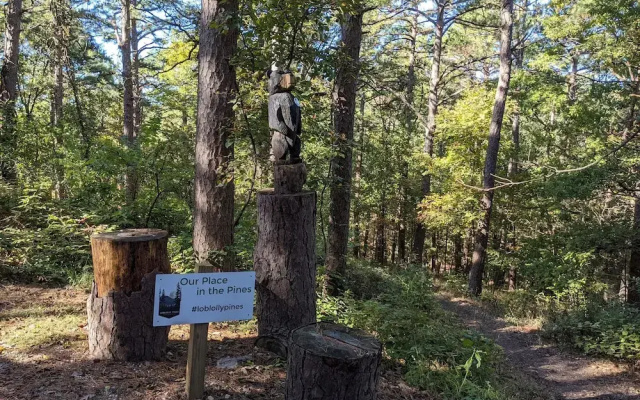 Loblolly Pines Adventure Camp