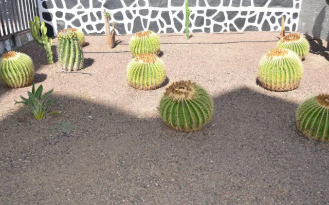 Apartamentos Los Cactus