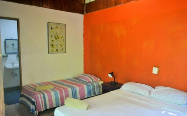 MI Casa Hostel & Hotel El Tesoro