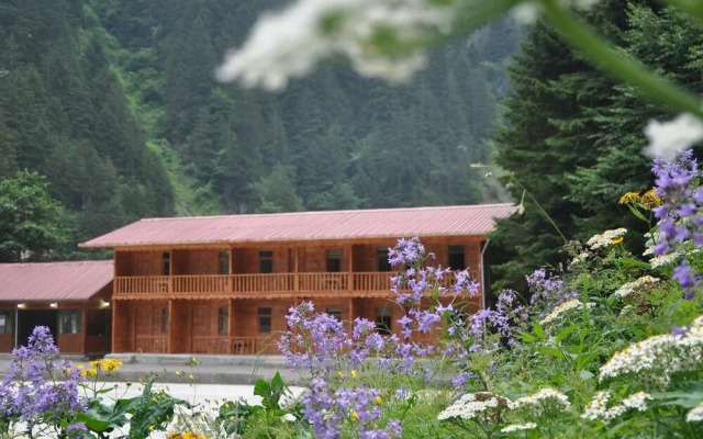 Uzungol Bungalow House