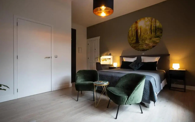B&B Gaudium XII