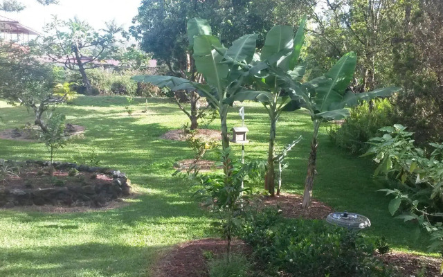 The Kimos' Ohanas B&B