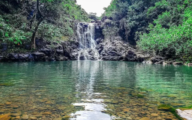 Napili Shores C116