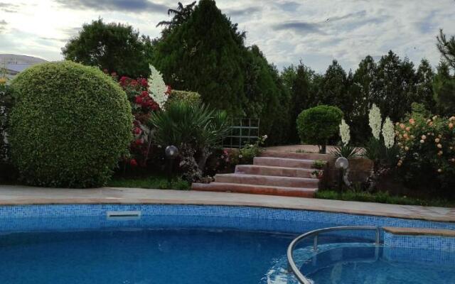 Villa Byala Grape House