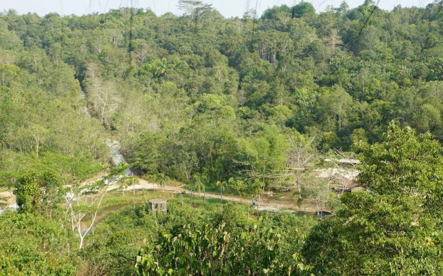 Samboja Lodge