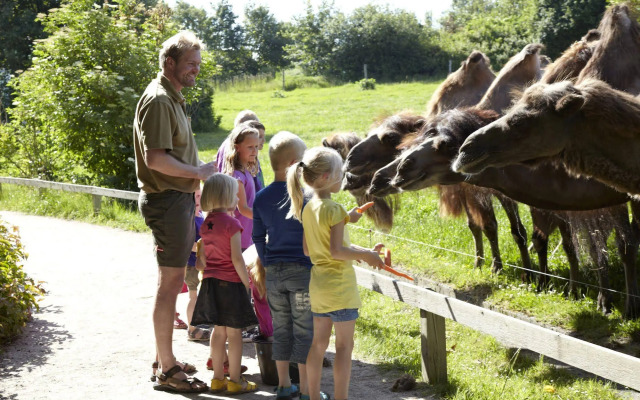 Givskud Zoo - Hostel