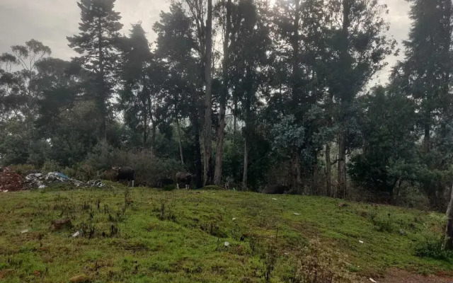 Bon Sejour Ooty Hill View Resort & Hotel