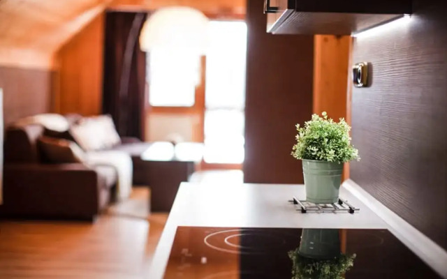 Villa in Moravia With Infrared Sauna