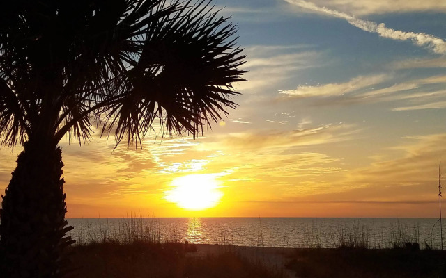 Escape Coastal Resort on Casey Key