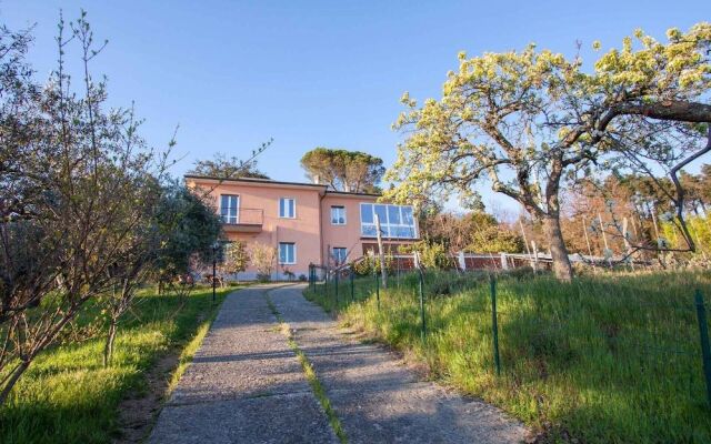 La Camelia Bianca B&B