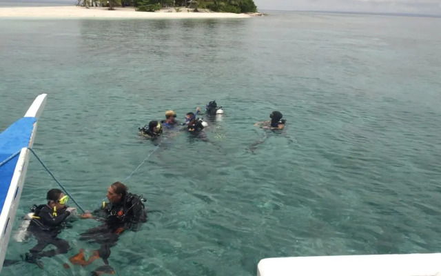 The Sharks Tail Dive Resort