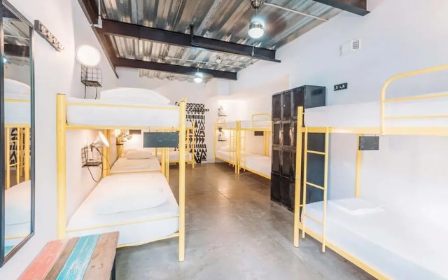 Sta Teresa Surf Camp by Selina Surf Club