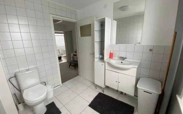 Nice Spacious House Near Amsterdam And Schiphol