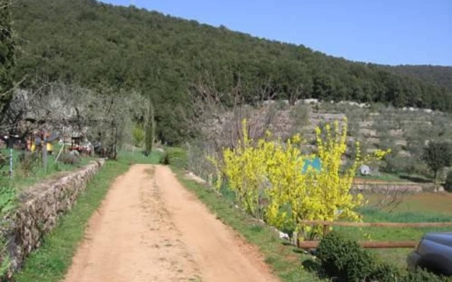 Biofarm Podere Ficareto