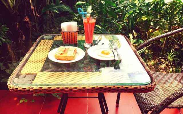 Van Long Family Homestay