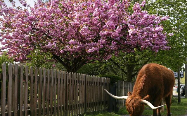 Careys Manor & Senspa