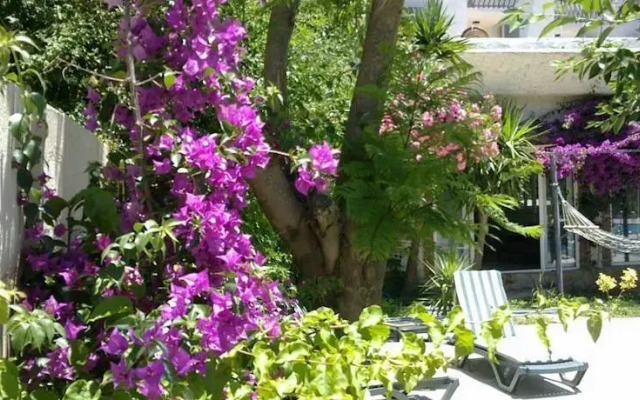 Ovacık Residences