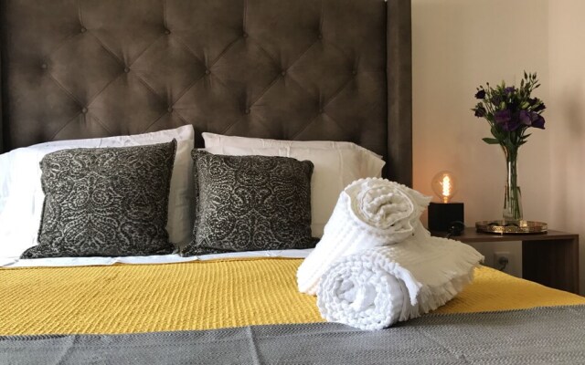Amazing Apartment in Reforma
