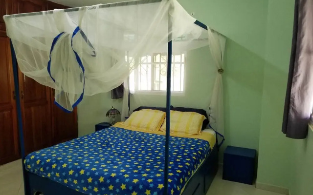 Blue Lady Rooms B&B
