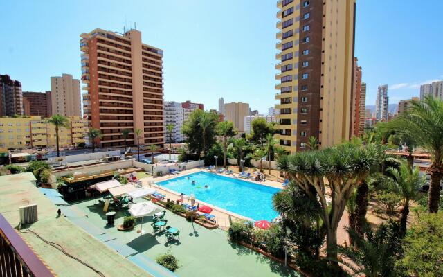 Bermudas 314 in Benidorm