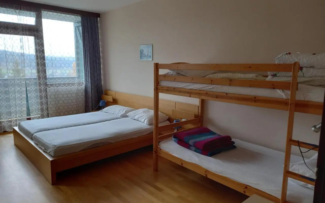 Panoramis apartment in Schladming